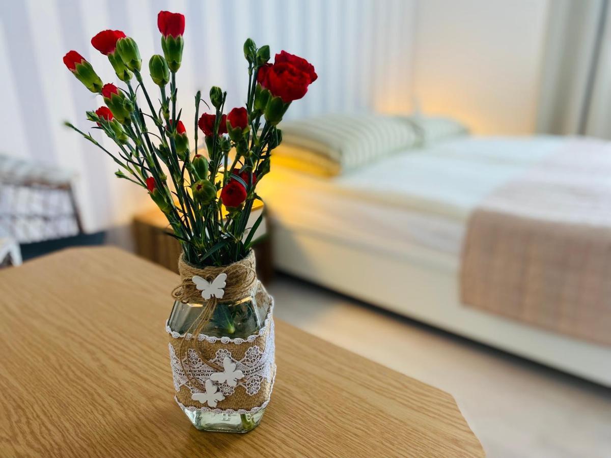 Villa Horyzont 미에드지보드지 외부 사진